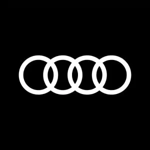 Audi 4 ring puddle lights