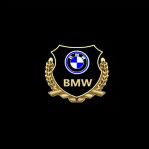 BMW LED Door Projector