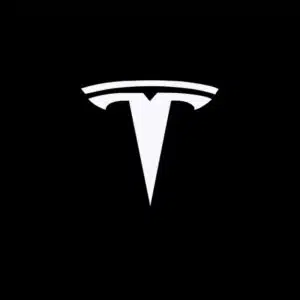 Tesla Welcome Light