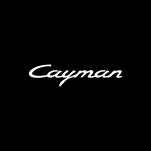 Porsche Cayman Puddle Lights