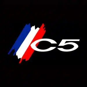 Citroen C5 Puddle Lights