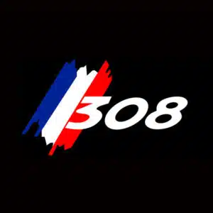 Peugeot 308 Puddle Lights