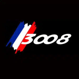 Peugeot 3008 Puddle Lights