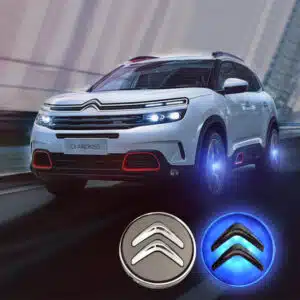 Citroen Floating Center Cap