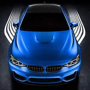 LED Angel Wings Car Light