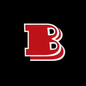 Brabus Door Puddle Lights